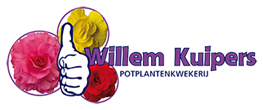 Willem Kuipers CV