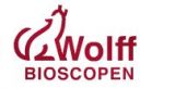 Wolff Groningen